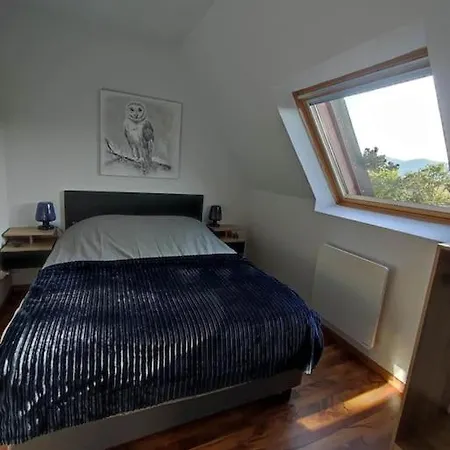 Апартаменты W Винтсенайм